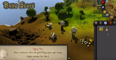 RSORDER-new clothing and pet skins