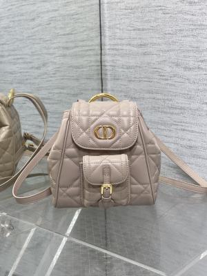 The Best Styles Cheap Dior Bags 